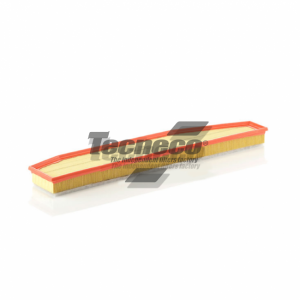 Filtro Aria Tecneco - AR68001PMS -