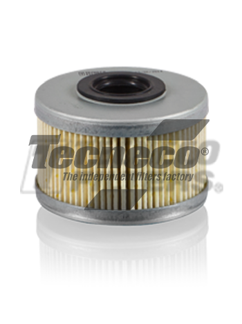 Filtro Gasolio Tecneco - GS0452