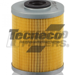 Filtro Gasolio Tecneco - GS0456