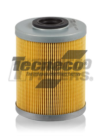 Filtro Gasolio Tecneco - GS0480