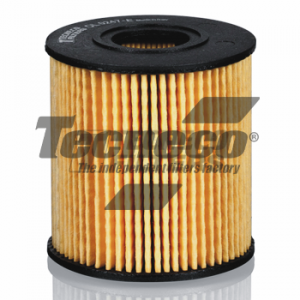 Filtro Olio Tecneco - OL010066E