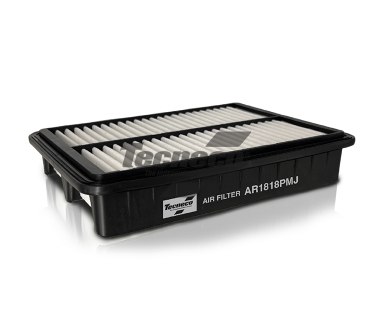 Filtro Aria Tecneco - AR1818PMJ